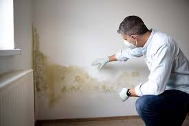 Best Residential Mold Inspection & Testing in Ohioville, PA